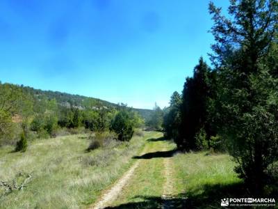 Río Cega,Santa Águeda–Pedraza;bosque de muniellos viajes agosto la pedriza rutas